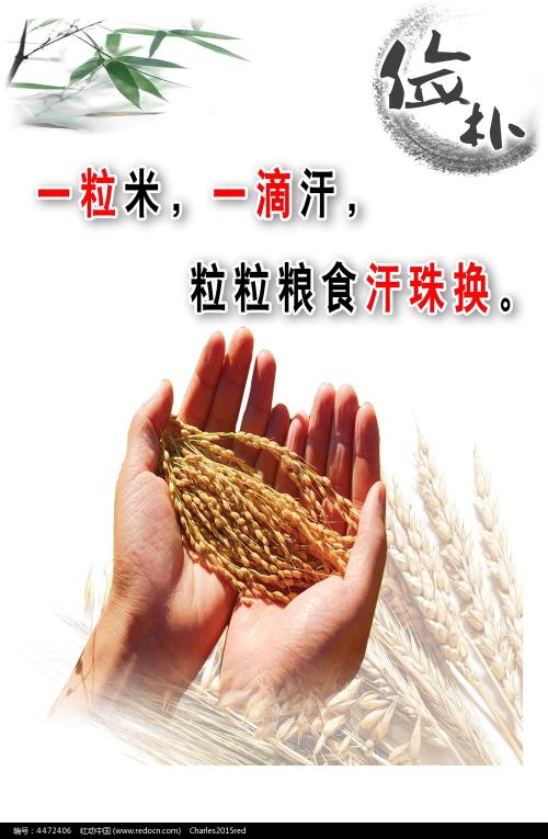 建设银行定期存款单怎么买假的